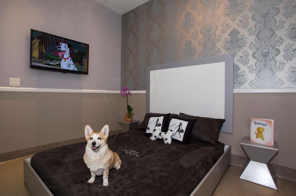 Freer Motel 外观 照片
